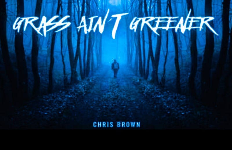 chris brown grass aint greener mp3 download